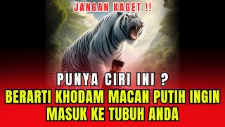 Download lagu ALAMI GEJALA INI FIX ANDA ORANGNYA !! 7 CIRI KHODAM MACAN PUTIH INGIN MASUK KE TUBUH ANDA mp3