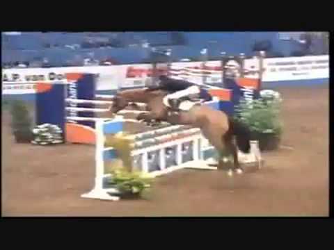 Quasimodo v.d. Molendreef