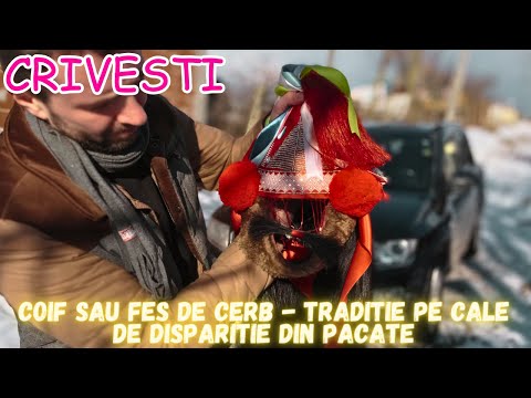 Coif / Fes Cerb Crivesti Care Face Parte Din Obiceiuri Si Traditii De Aici De La noi Moldova Iasi