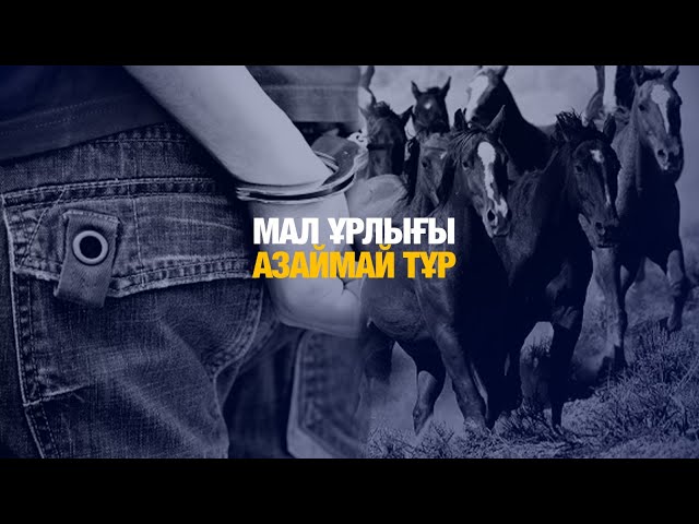 Мал ұрлығы азаймай тұр