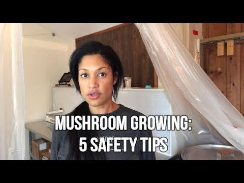 Mushroom Growing: 5 Safety Habits