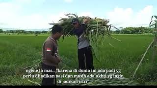 Download lagu 'Story wa' salam cah ngarit mp3