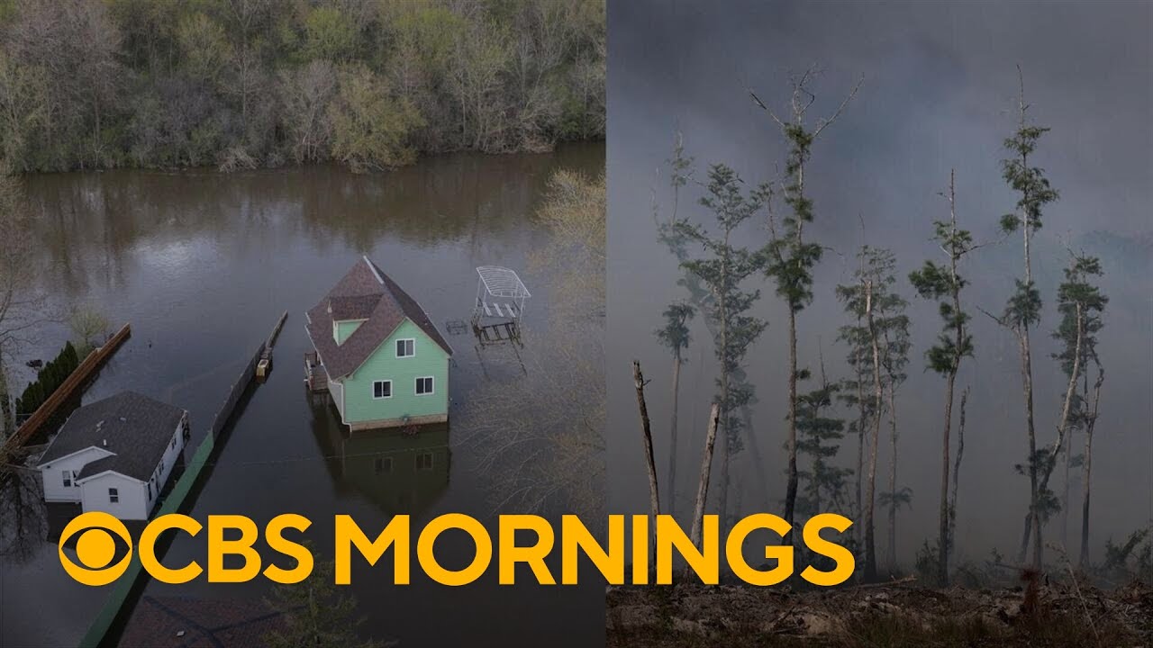 Florida drought fuels wildfires as chunks of ice smash into Michigan homes after major flooding