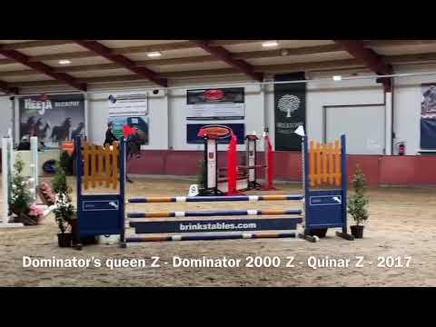 Dominator's Queen Z:DOMINATOR Z x QUINAR