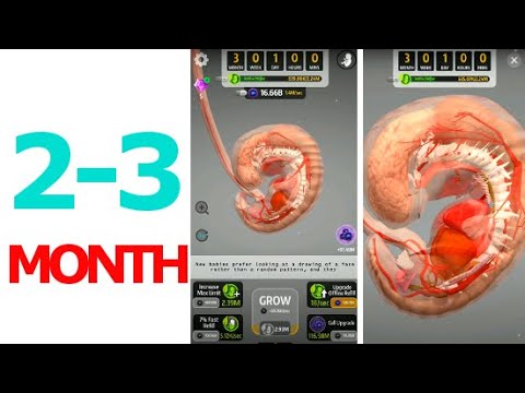 9 Months 2,3 Pregnancy (by Green Panda Games) - Android Game Gameplay - YouTube