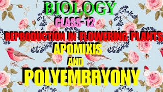 Class 12 Biology chapter 2 LECTURE 14 APOMIXIS AND POLYEMBRYONY