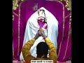 Dwarkadhish Status New Dwarkadhish Status मंगला आरती 11 1 2022