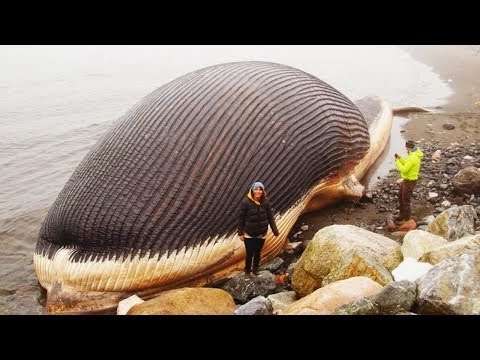 Mit kell tenni, ha a pénisz megáll - SZEXTÖRTÉNETEK BEKÜLDÉSE ITT