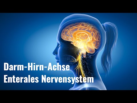 Die Darm-Hirn-Achse und das enterale Nervensystem