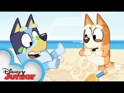 小藍的海灘夥伴？| 迪斯尼的孩子們 (Bluey's Beach Buddies ? | Bluey | Disney Junior)