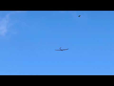 EGIDA von Jaro Müller - Jürgen fliegt