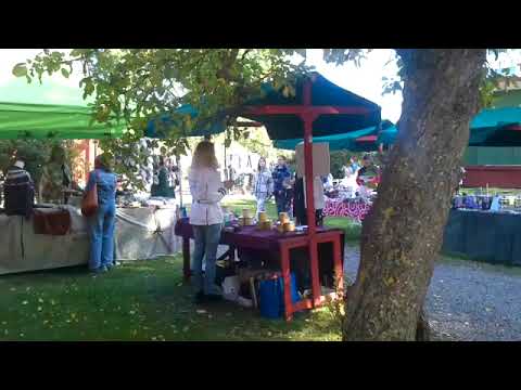 Small Market in Eskilstuna Sweden 2025!