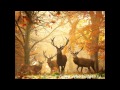 ***Осенняя сказка***.wmv 