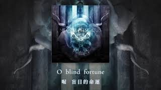Ne Obliviscaris - Pyrrhic (中文翻譯 Chinese translation)