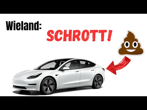 Wieland hatet Tesla 💀😂 |  Pandisz