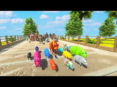 CHASE SPEED RACE TO EAT AN COLOR FAMILY PIG - Animal Revolt Battle Simulator