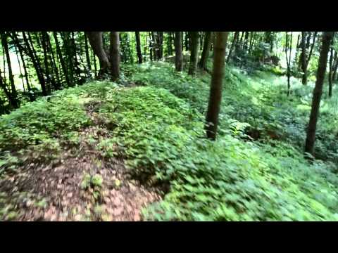 Burgstall Todtenweis