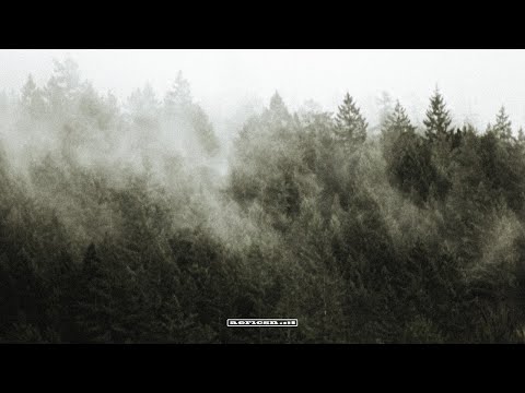 Rolipso & aericsn & Eliine - Things I Never Had (Official Audio)