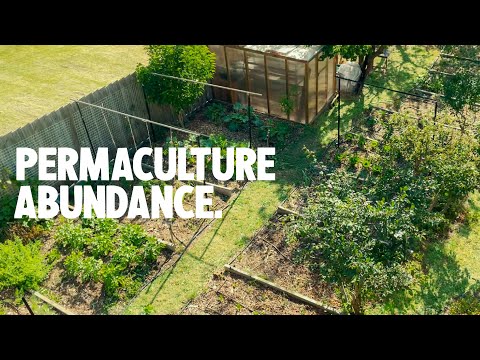 Spring Tour of My Permaculture Garden in the Suburbs