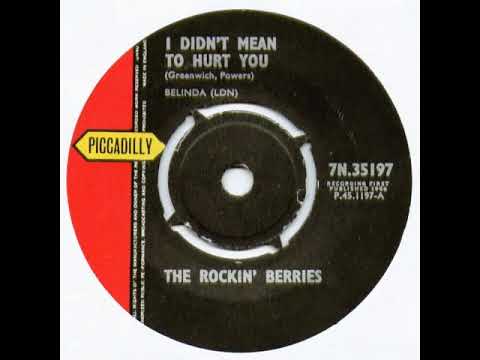 UK New Entry 1964 (217) The Rockin' Berries - I Didn't Mean To Hurt You
