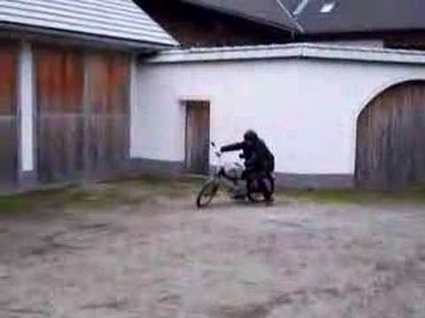 Heastauber Wheelie
