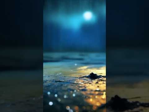 什麼是肯定後件？ 意義及例子（What is Affirming the consequent? Meaning and example）