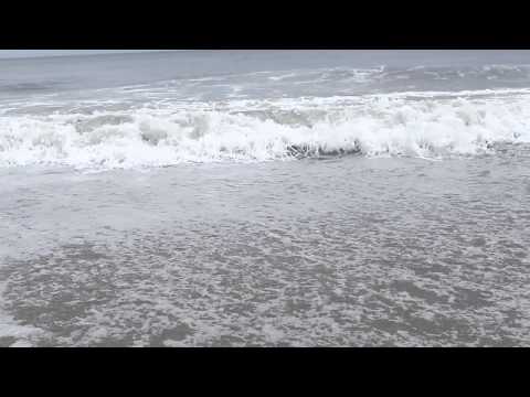 Pixie Paris - Das Leben (offiziell)