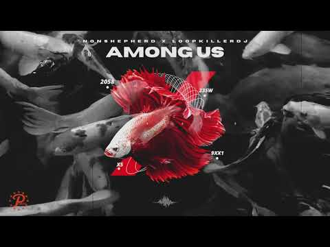 Non Shepherd X LoopkillerDj - Among Us