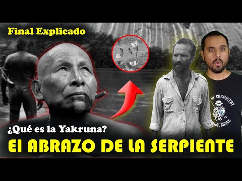 🐾 5 Things You Didn't Know 👉 The embrace of the SERPENT 🐍 Colombian Cinema 🐍