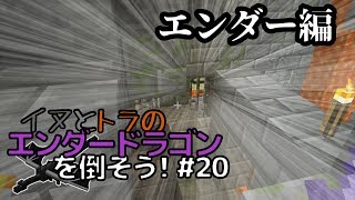 イヌとトラのエンダードラゴンを倒そう！Part.20 ～エンダー編～
