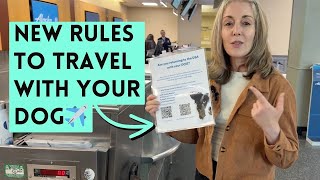 Dog Owners’ 2025 Update: New USA to Mexico Travel Rules!