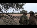 Blesbuck Hunting In Stunning Surroundings
