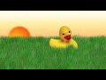 Rubber Ducky Animation