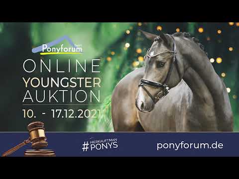 HEILIGENBERGS DRESSED IN BLOND 2j. Stute v. Dressed in Gold / Principal Boy