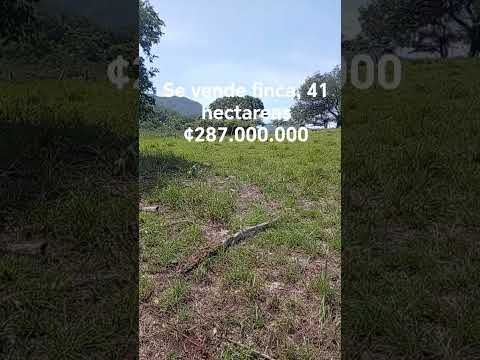 vendo finca mide 41 hectarea corralillo de nicoya, guanacaste. C.R precio ¢287.000.000