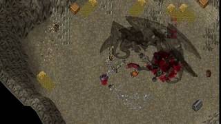 Hell Hounds VS Shadow Wyrm