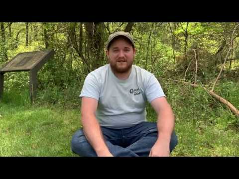 Fossil Fun: Trilobites