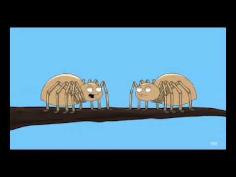 Family Guy - first spider to spin a web
