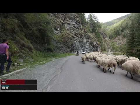 Off road on the DN7A Romania