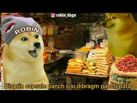 Behnoi sahab || TRIMOHAN VIJAY || ROBIN DOGE 2021