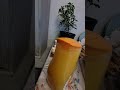 How To Open Tropicana Orange Juice Lid