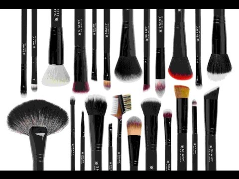 Shany Signature Collection Brush Review!