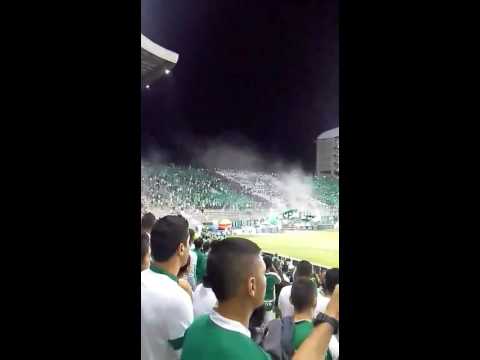 "La hinchada verde y blanco" Barra: Frente Radical Verdiblanco • Club: Deportivo Cali • País: Colombia