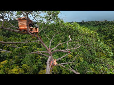 Into the Wild Storm – Building a Treehouse Amid the Roaring Rainforest | bushcraft skills
