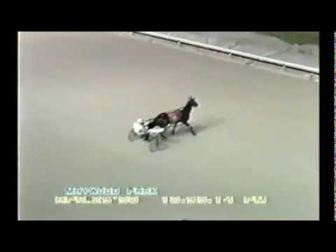 1990 Maywood Park ARDMORE BAY Gary Leonard