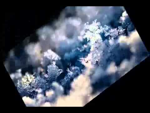 Prima noapte a fost de vis