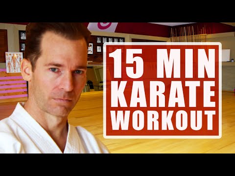 15 MINUTE KARATE WORKOUT