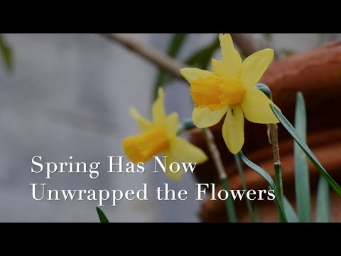 095 SDA Hymn - Spring Has Now Unwrapped the Flowers (Singing w/ Lyrics)