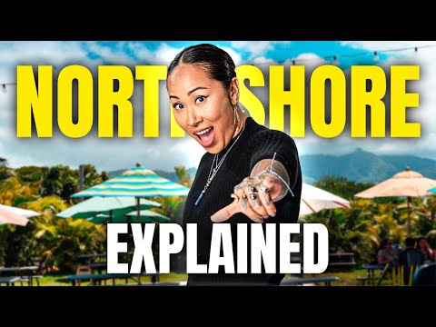 The World's Number 1 Surf Town - North Shore Explained || Hawaii's
