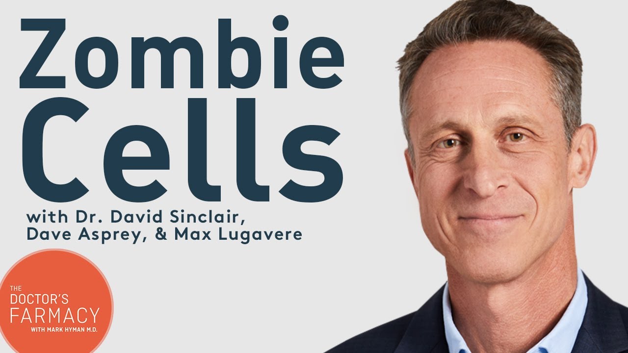 What Are Zombie Cells?